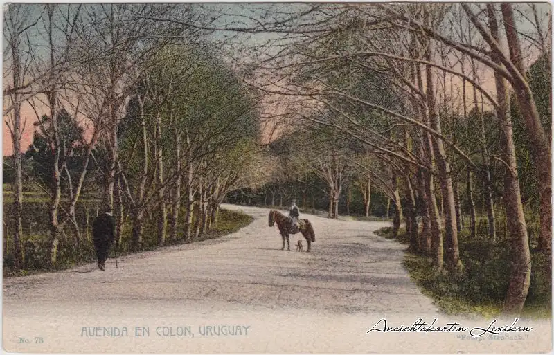 Postcard Colón-Montevideo Avenida en Colón/Straßenpartie Reiter 1910