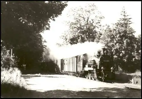 Philippshagen-Göhren (Rügen) Schmalspurbahn  bei der Einfahrt  1982