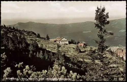 Ansichtskarte Bayerisch Eisenstein Arberhaus m. dem zwiegehörnten Osser 1963