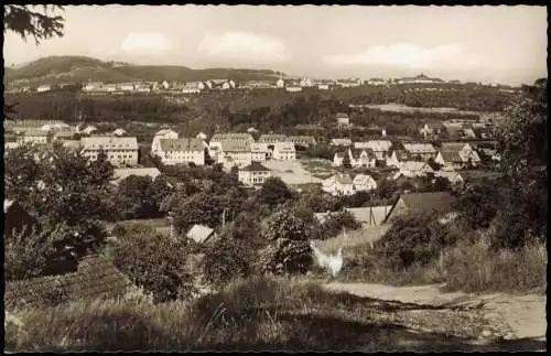 Ansichtskarte Wildflecken Panorama-Ansicht 1960