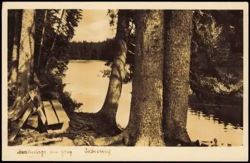 Ansichtskarte Braunlage Harz - Bank am Silberteich 1941