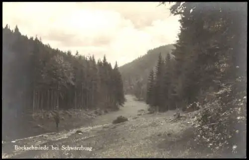 Ansichtskarte Bockschmiede-Döschnitz Bockschmiede bei Schwarzburg 1940