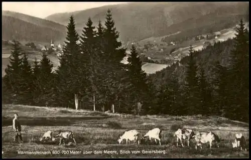 Ansichtskarte Warmensteinach Panorama-Ansicht 1940