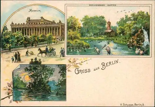 Ansichtskarte Litho AK Tiergarten-Berlin 3 Bild: Zoo, Museum 1909
