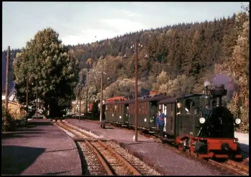 Dampflokomotive Einfahrt Schmalzgrube alter Personenzug Eisenbahn 2009