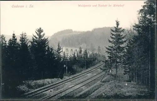 Ansichtskarte Oederan Waldpartie und Viadukt bei Hetzdorf 1913